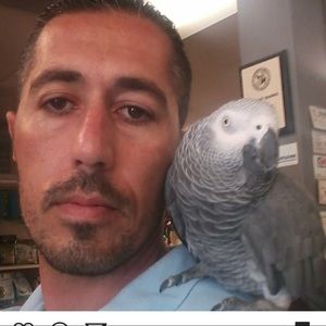 Meet your Posher, Margarit